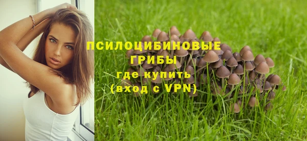 шишки Абдулино