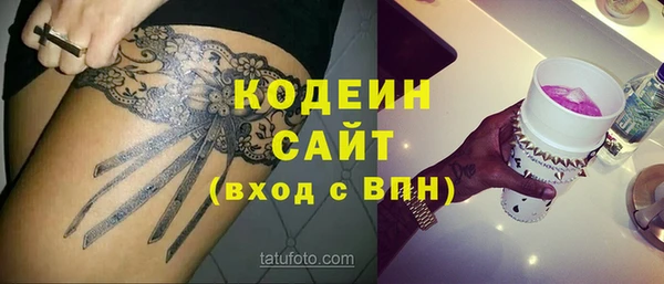 гашик Ладушкин