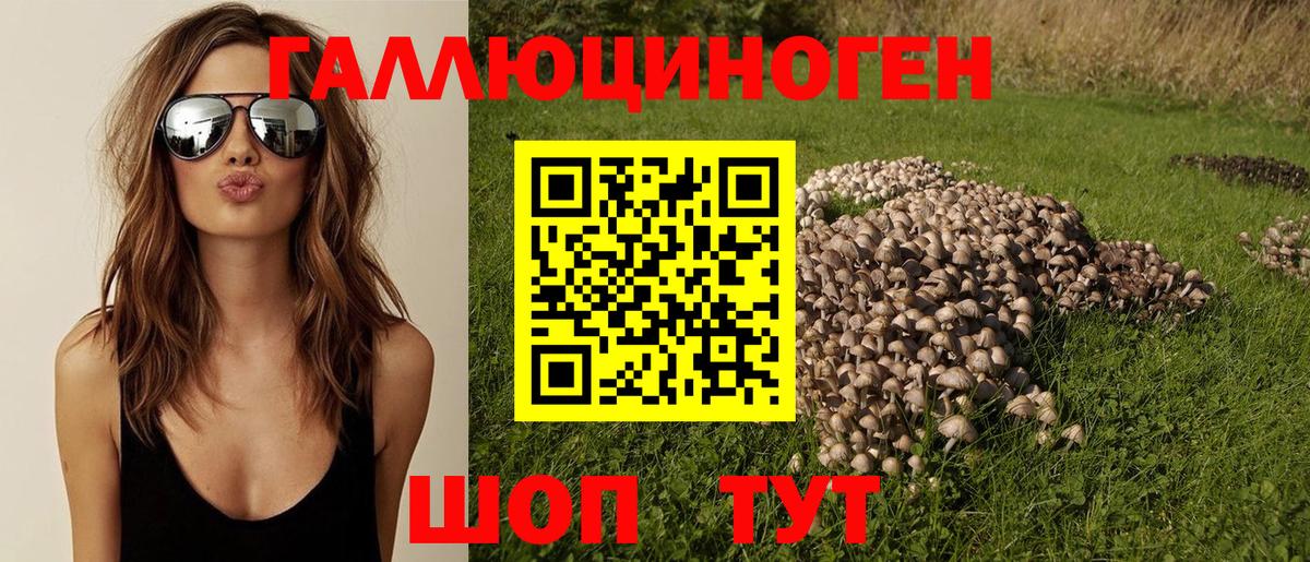Кумертау  Галлюциногенные грибы Cubensis  Вход с VPN 